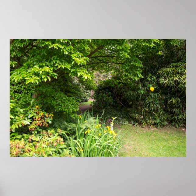 Garten Hintergrund Poster (Vorne)