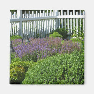 Garten in Long Island Magnet