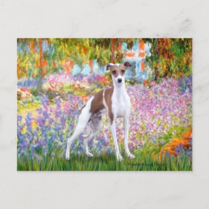 Garten - Italian Greyhound 7 Postkarte