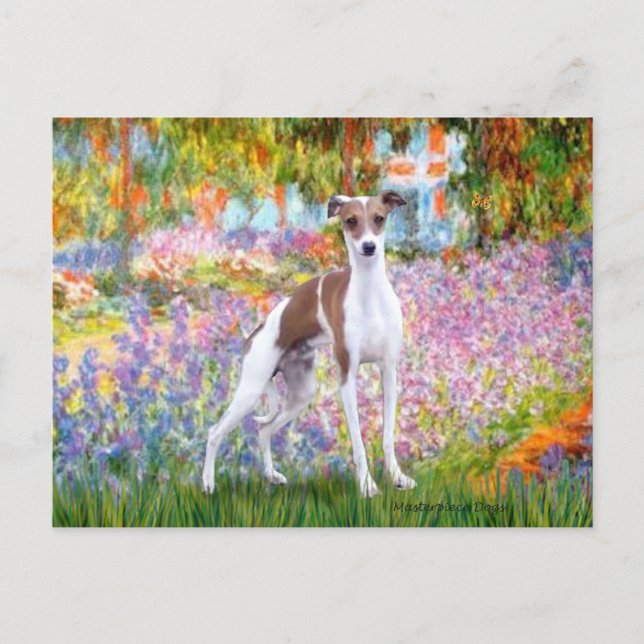 Garten - Italienischer Windhund 7 Postkarte (Vorderseite)