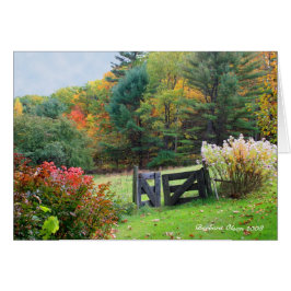 Garten: Jeder Ausgang ist ein Eingang woanders