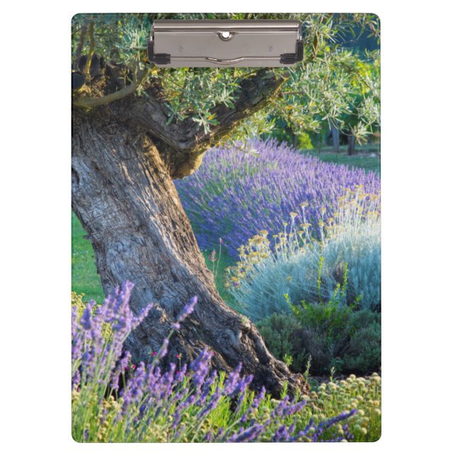 Garten landschaftlich mit Blume, Frankreich Klemmbrett (Vorderseite)