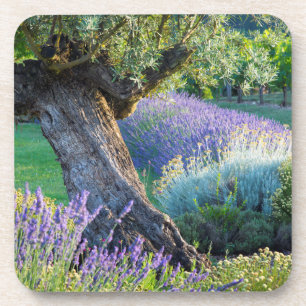 Garten landschaftlich mit Blume, Frankreich Untersetzer