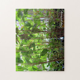 Garten-Liebhaber behalten wachsende