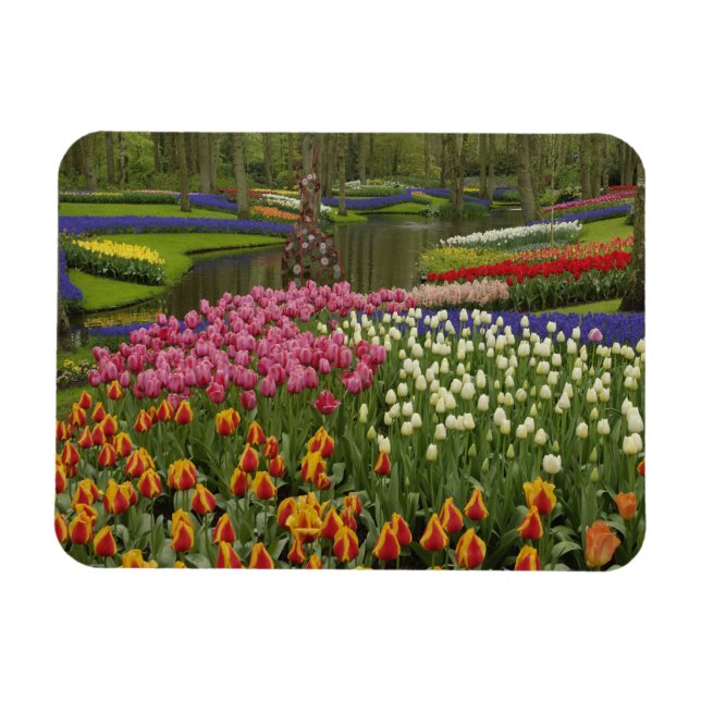 Garten mit Blumen und Blumen, Keukenhof Gardens, Magnet (Horizontal)