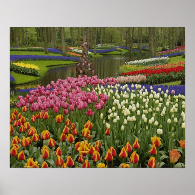 Garten mit Blumen und Blumen, Keukenhof Gardens, Poster (Vorne)