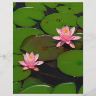 Garten mit Blütenblumen, Rosa Lotus,