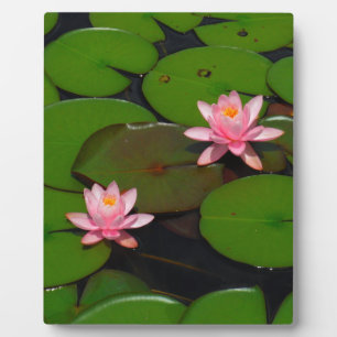 Garten mit Blütenblumen, Rosa Lotus, Fotoplatte
