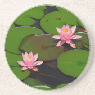 Garten mit Blütenblumen, Rosa Lotus, Getränkeuntersetzer