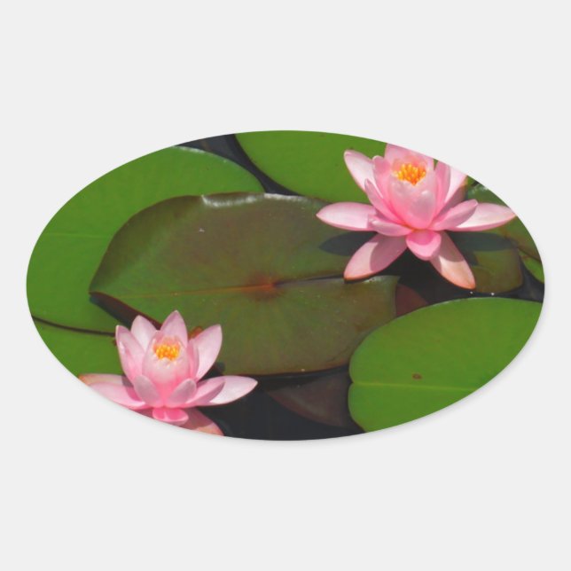 Garten mit Blütenblumen, Rosa Lotus, Ovaler Aufkleber (Vorderseite)