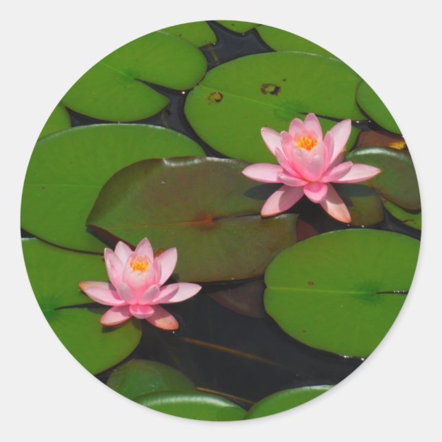 Garten mit Blütenblumen, Rosa Lotus, Runder Aufkleber (Vorderseite)
