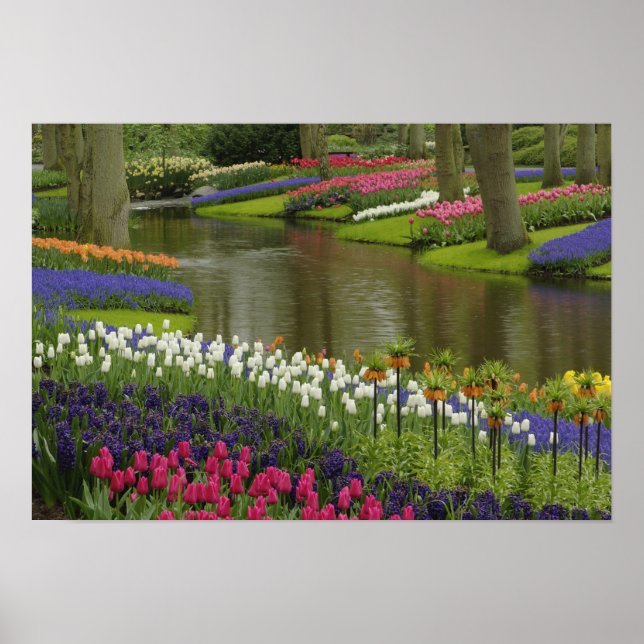Garten mit Blütenpflanzen, Keukenhof, 2 Poster (Vorne)