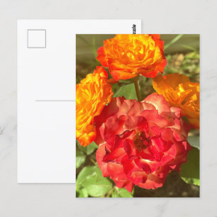 Garten mit orangefarbenen und roten Blumen Postkarte