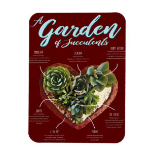 Garten mit Sukkulenten Magnet