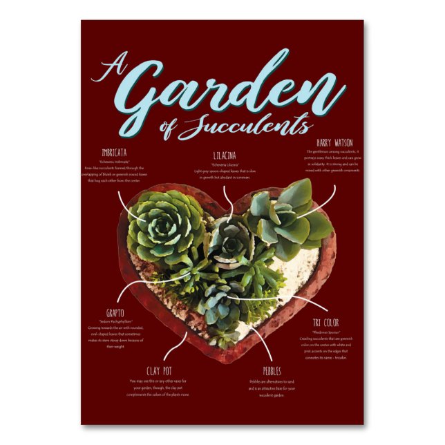 Garten mit Sukkulenten Tischnummer (Vorderseite)
