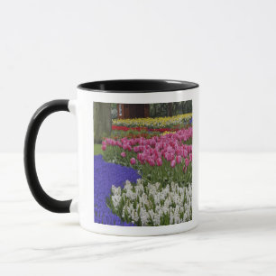 Garten mit Traubenhyazinthen, Hyazinthen und Tulpe Tasse