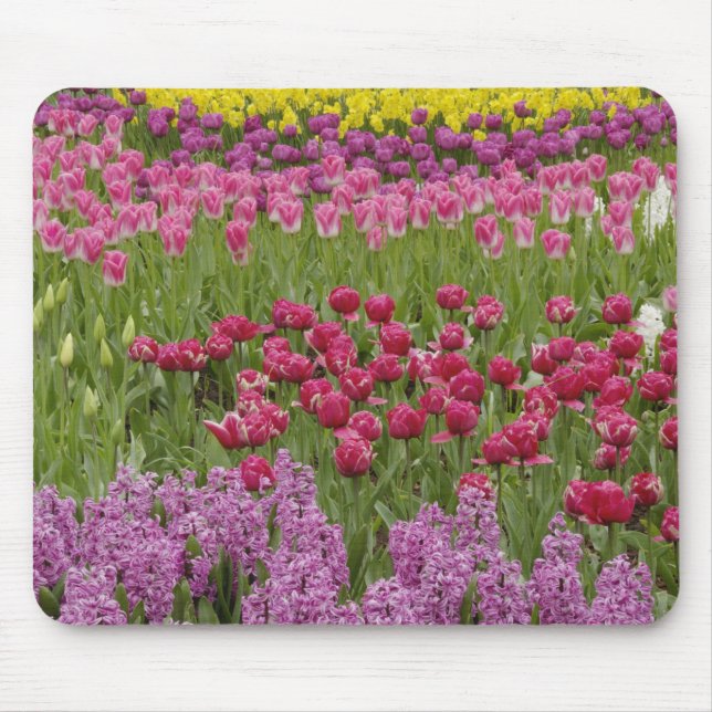 Garten mit Tulpen, daffodils und Hyazinthen Mousepad (Vorne)