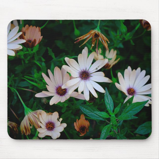 Garten Mousepad (Vorne)