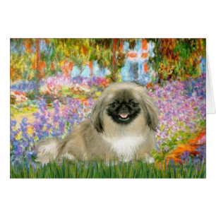 Garten - Pekingese 1b