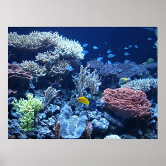 Garten Poseidon Poster