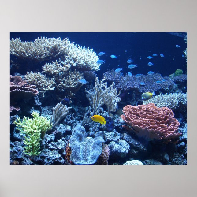 Garten Poseidon Poster (Vorne)