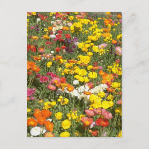 Garten Postkarte