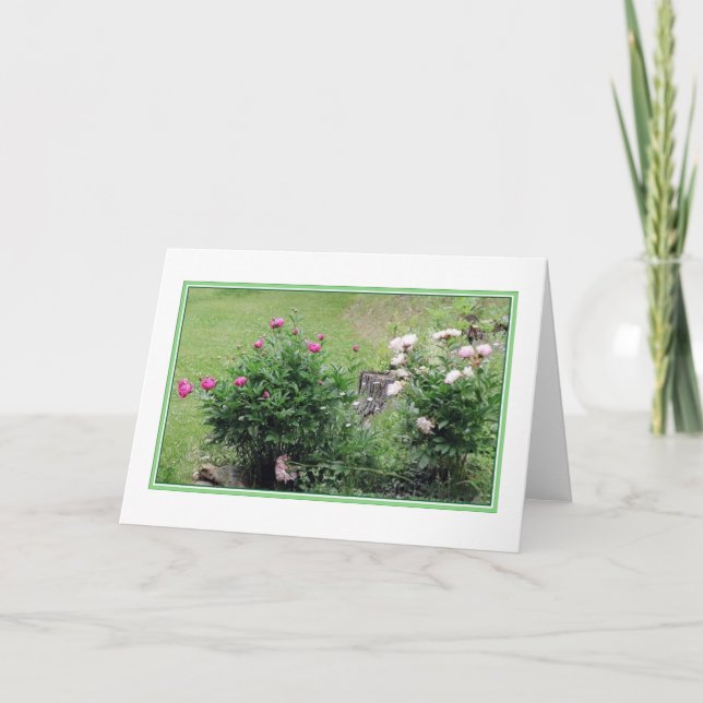 Garten-Rosen-leere Gruß-Karte Karte (Vorderseite)