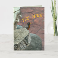 Garten-Rotkehlchen-Hochflug zum Geburtstag persona