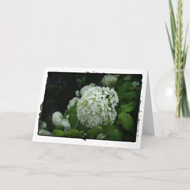 Gärten Schwedens Karte (Vorderseite)