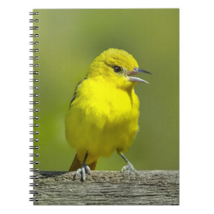 Garten-Trichter - Originalfotografie Notizblock