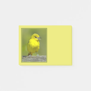 Garten-Trichter - Originalfotografie Post-it Klebezettel
