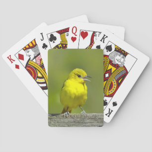 Garten-Trichter - Originalfotografie Spielkarten