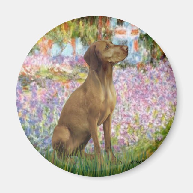 Garten - Vizsla 1 Magnet (Vorne)