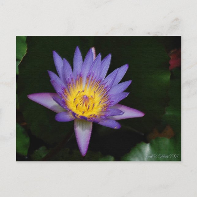 Garten von Eden Postkarte (Vorderseite)
