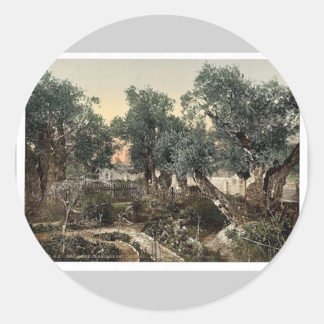 Garten von Gethsemane, Jerusalem, Klassiker des He Runder Aufkleber (Vorderseite)