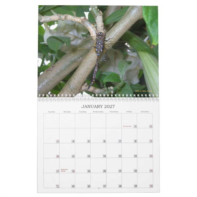 Garten wundert sich Kalender 2013 (Jan 2027)