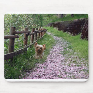 Garten Yorkshires Terrier Mousepad