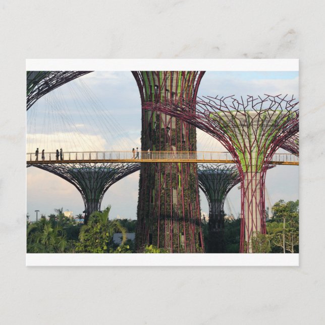 Gartenanlage am Bay Singapore Öko park Postkarte (Vorderseite)