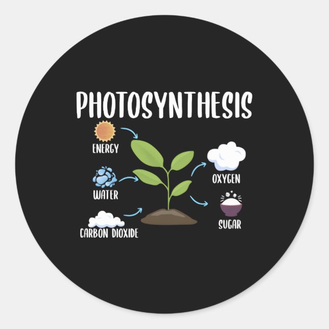Gartenbau-Pflanze Fotosynthese Runder Aufkleber (Vorderseite)