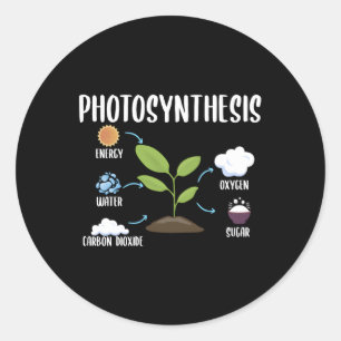 Gartenbau-Pflanze Fotosynthese Runder Aufkleber