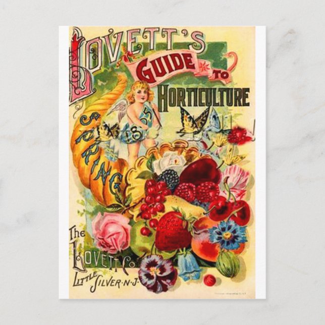 Gartenbau Postkarte (Vorderseite)
