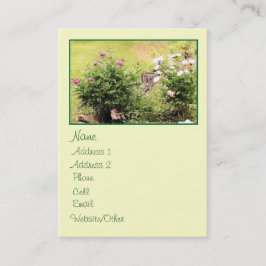 Gartenbau Rose Grosses Profil Visitenkarte