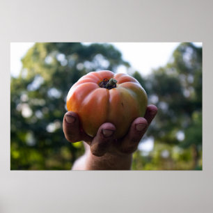 Gartenbauer mit Tomatenaufdruck Poster