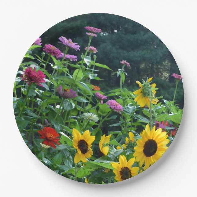 Gartenblick - Sonnenblumen, Gänseblumen, Kosmos Pappteller (Vorderseite)