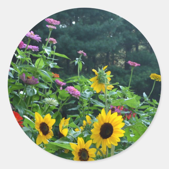 Gartenblick - Sonnenblumen, Gänseblumen, Kosmos Runder Aufkleber (Vorderseite)