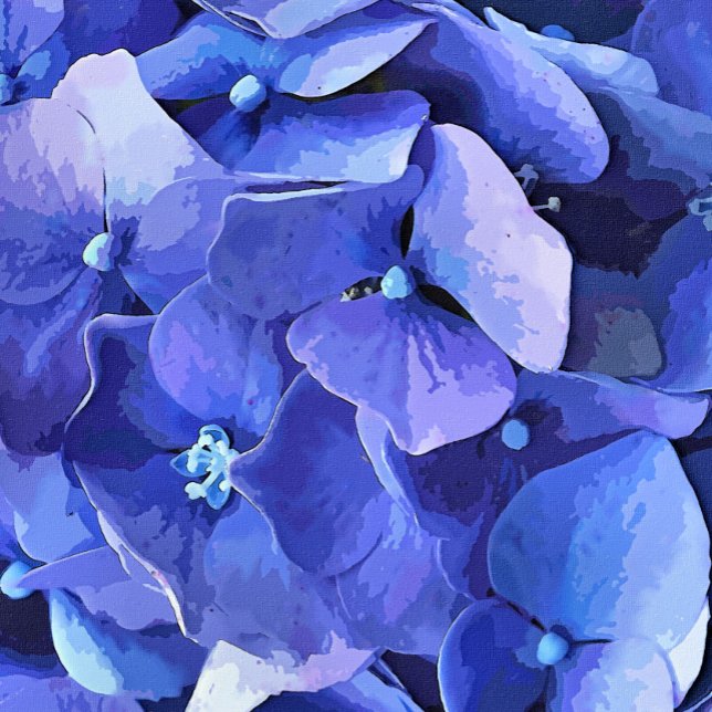 GARTENBLUME POSTER (A watercolor of a beautiful vibrant blue hydrangea.)