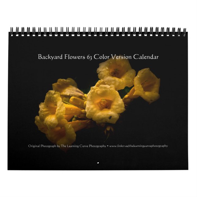Gartenblumen 63 Farbversion Kalender (Titelbild)