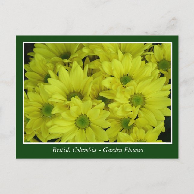 Gartenblumen in BC Postkarte (Vorderseite)