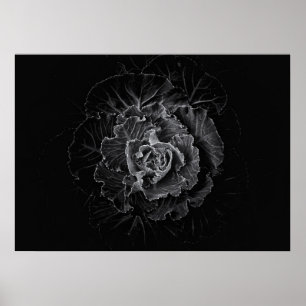 Gartenblumen in Schwarzweiß Nr. 100 Poster