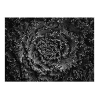Gartenblumen in Schwarzweiß Nr. 107 Fotodruck